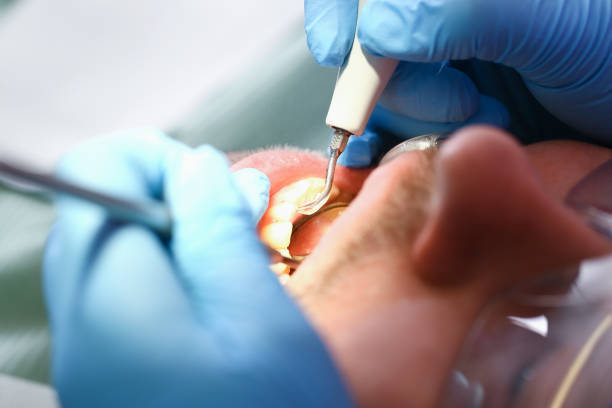 Best Emergency Orthodontic Repairs in East Jordan, MI